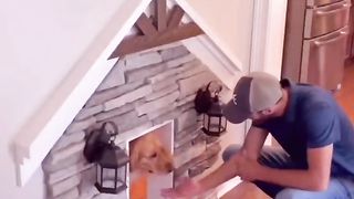 Spoiling my dog with his own special day! #goldenretriever #teddytuesday