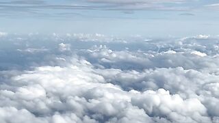 Fly high 2