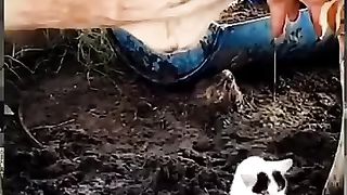 Subhanallah Allah Hu Akbar