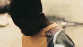 Don't Touch My Mother