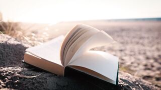 "Pages Unveiled: A Visual Symphony of Literature"