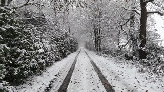 "Snowfall Serenity: A Winter Wonderland Journey"