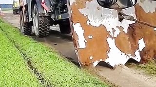 Amazing videos vol 334