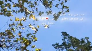 حدیث نبویؐ
