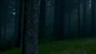 Nature short relaxing sounds