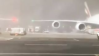 The flying