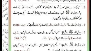 اسلامی معلومات Like share follow 521