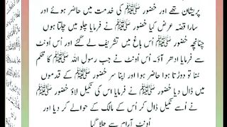 اسلامی معلومات Like share follow 528
