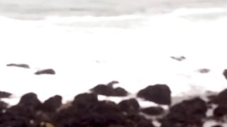 Beautiful Video 5