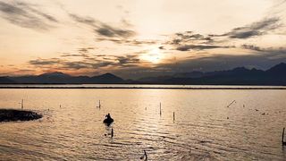 "Eternal Wilderness: A Cinematic Exploration of Nature's Timeless Charms"