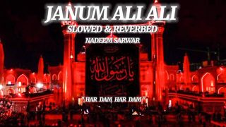 Janum Ali Ali