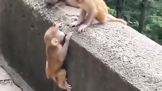 Help me up friend
