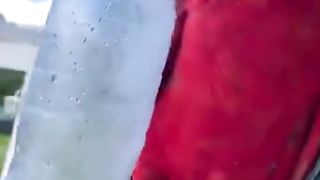Cocktail Parrot 2
