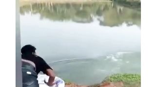 Mejor vídeo divertido