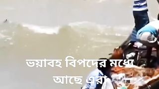 Funny Video 224