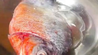 fried fish 2