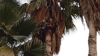 That's a marvelous tree ????