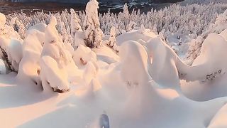 GoPro _ Sunrise Powder Skiing POV in Vermont ???? Mike Hayes #Shorts #Skiing.
