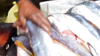 amritsarfishfry
