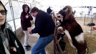 More Try Not To Laugh