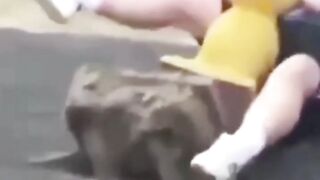 Try To Not Laugh funny video ????????