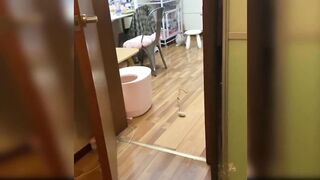 Baby Cats Cute and Funny Cat Videos Compilation