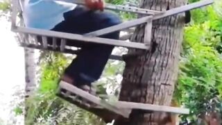 An amazing tool for climbing trees