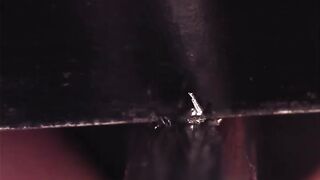 Fire Starter at 2000Fbs. Close Up
