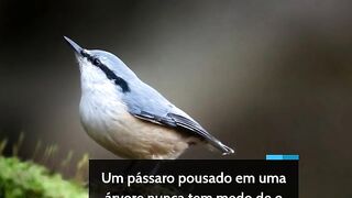 ACREDITE EM VOCÊ