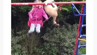 Funny animals the cute videos
