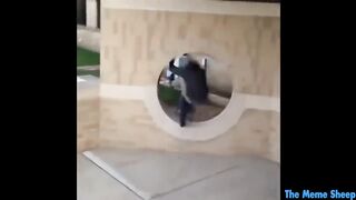 Funny Video