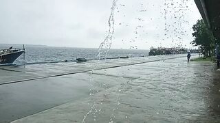 The Rain