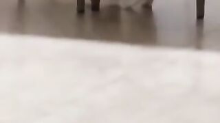 funny video .