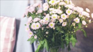 Tribuna весна-лето (2017)