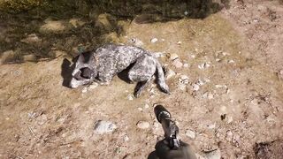 Far Cry 5