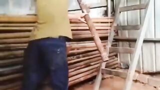 galo-esperto-shorts-funnymoments-engracado-funny-divertido-