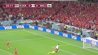 USA VS WALES
