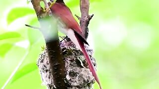 Nice video 177