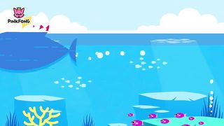baby shark ORIGINAL