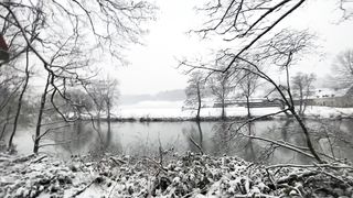 "Beyond Horizons: Nature's Silent Ballet"