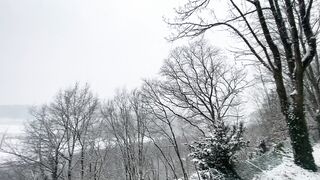 "Vivid Vistas: Nature's Masterpiece Unveiled"
