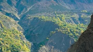 Mountain 25