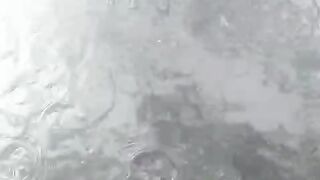 Untung ikan lele banyak pakan alternatif nya, jadi tidak mengandalkan pakan pabrikan saja