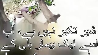 AP isay aik