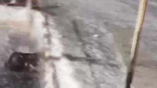 Best funny moments part 1