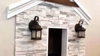 Building of Teddys famous doghouse. #dog #diy #goldenretriever