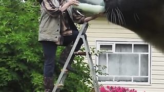 YOU NEED TO GET THE KITTEN WATER.