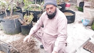 اج ہم نے مٹی میں کون سی نئی چیز شامل کی