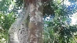 Video19