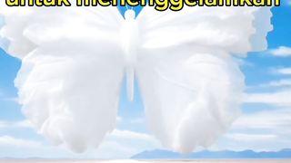 Video20